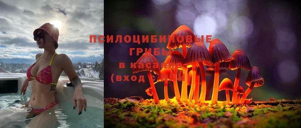 альфа пвп Нязепетровск