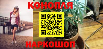 соль ск Заводоуковск