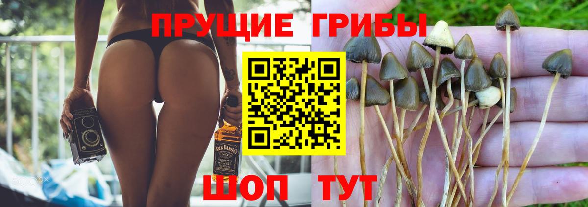 Псилоцибиновые грибы мухоморы Отрадное